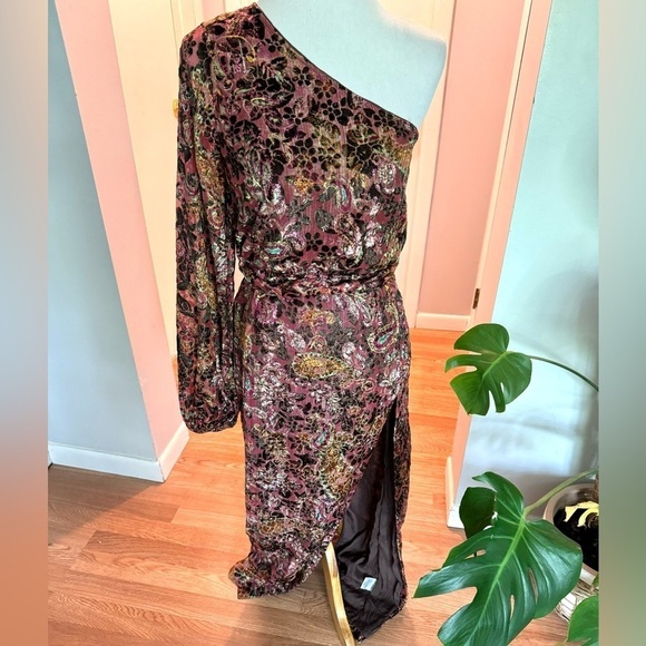 Hemant & Nandita Velvet Burnout Dress - Picture 9 of 10